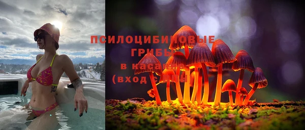 винт Алзамай
