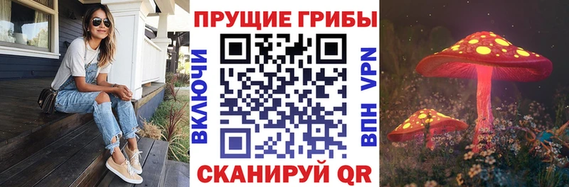 Псилоцибиновые грибы мухоморы  OMG сайт  Бикин 